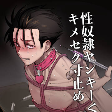 【サンプル】性奴隷ヤンキーくんキメセク寸止め