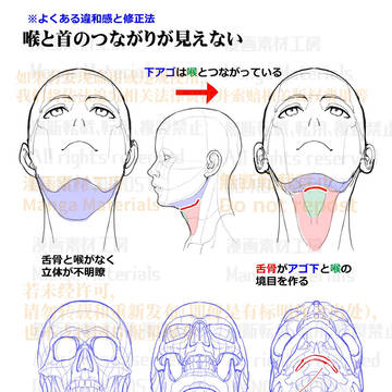 個人メモ:顎~首のつながり