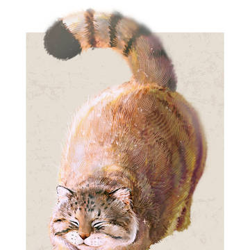 のびのびマヌルネコ