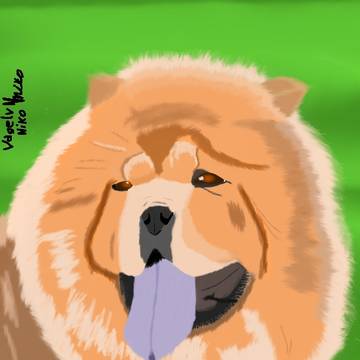 first attempt drawing a dog