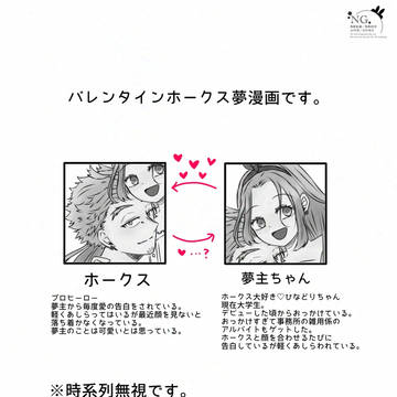 バレンタインホークス夢／顔あり夢主