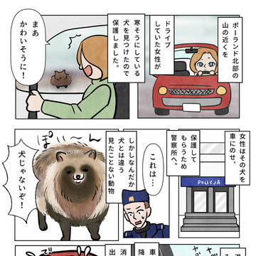 不思議な犬(ほっこりニュース)