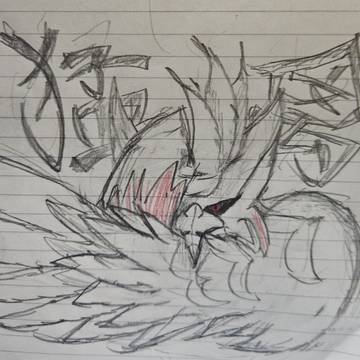 鳥