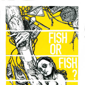 fish or fish
