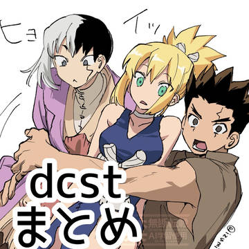 dcstまとめ2025