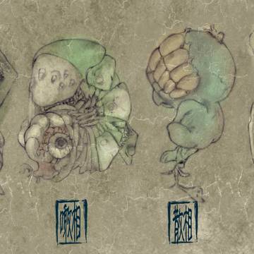 呪胎九相図標本・肆番ヨリ玖番図