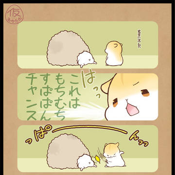 もちむち4書店委託始まってました