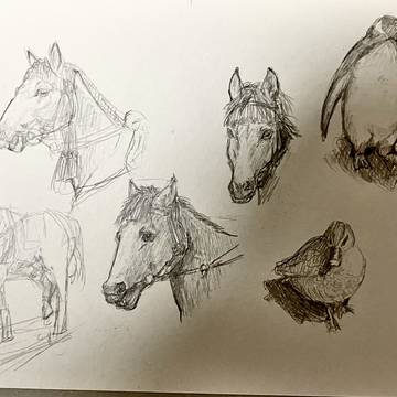 練習で描いた獣達