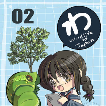 わ（Wildlife of Japan）02