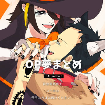 OP夢まとめ