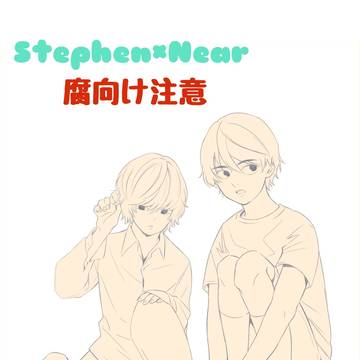 ステニアまとめ12