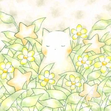 星に願う