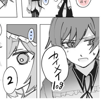 カイメイまとめ