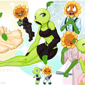 male sunflower x female peashoot