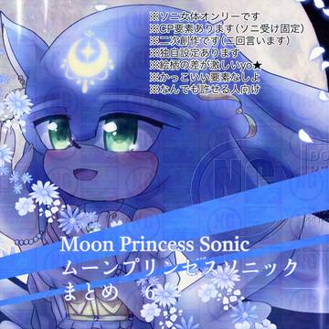 ムーンプリンセスソニックまとめ６