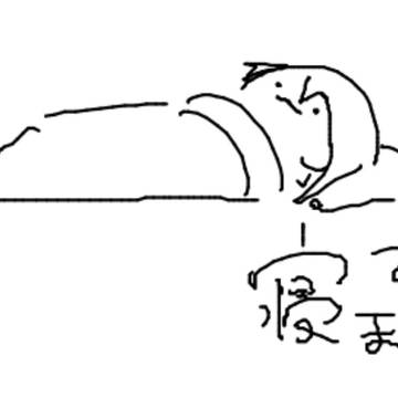 司類とその他