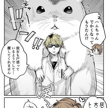 田中ハムlog