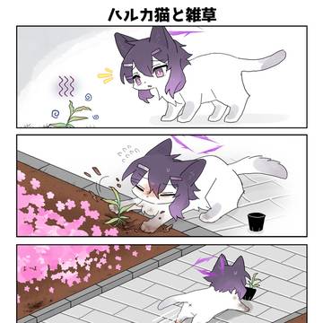 ハルカ猫と雑草