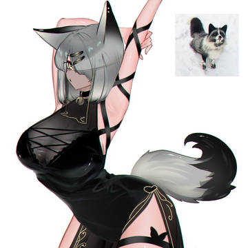 White Foxie
