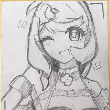 シード