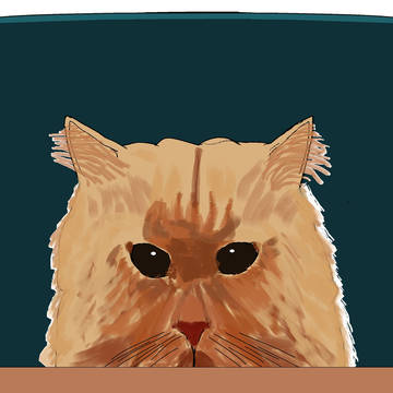 裁判所猫さん描いてみた