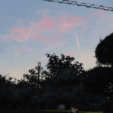 帰りは晴れてた