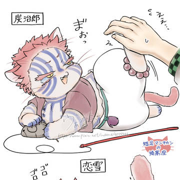 【短足マンチカンの猗窩座】炭治郎と恋雪の差&堕姫(梅)と天元の差