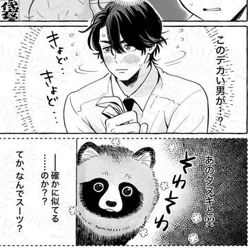 創作【振り向けばタヌキ　まとめ】関西コミティア75！