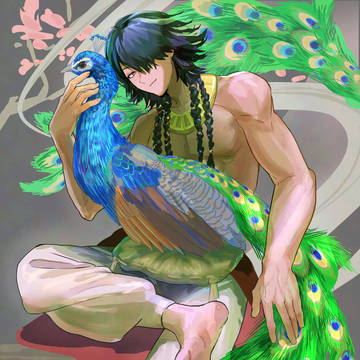 孔雀