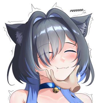 Scratch the cat