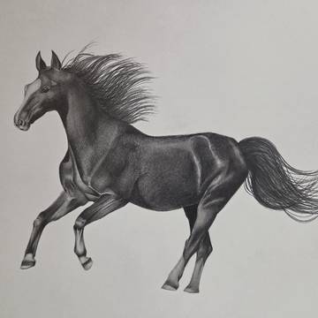 馬