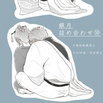 銀月詰め合わせ(10)