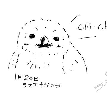 シマエナガの日