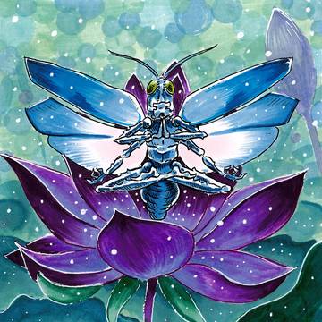 Meditation, Shardbugs TCG