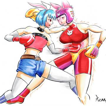 Rabbit fight
