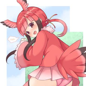 ショウジョウトキ
