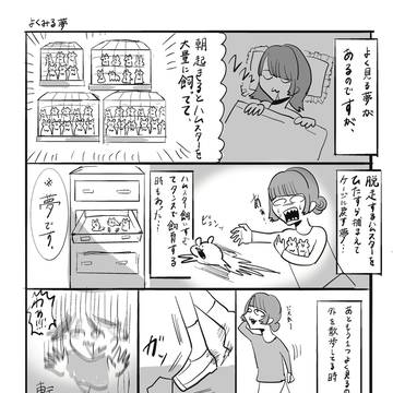 よく見る謎の夢(エッセイ漫画)
