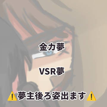 vsr夢