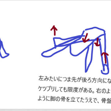 骨の向き