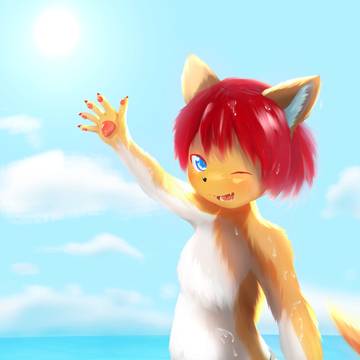 海