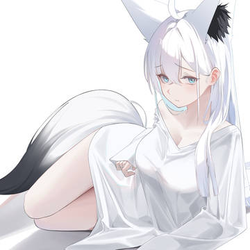 無防備なフブちゃん