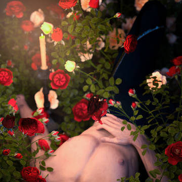 Bed of Roses