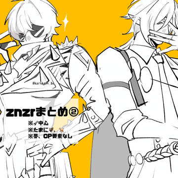 znzrまとめ②