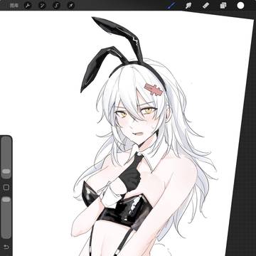 bunny