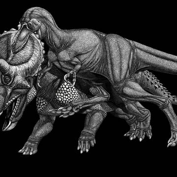 Nanotyrannus hunt