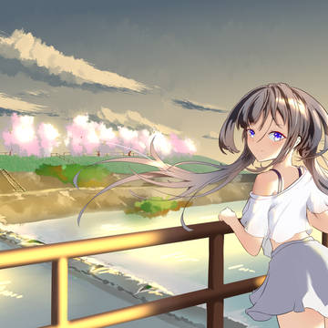 鸭川·夕阳