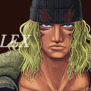 SF6 ALEX