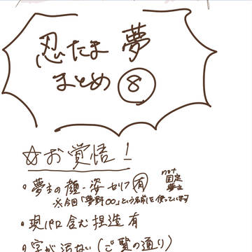 忍たま夢8