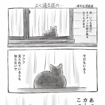 窓辺のネコチャン