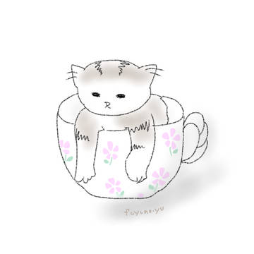 子猫とティーカップ